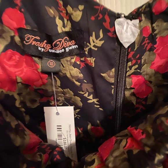 Trashy Diva Norma Jean dress 10 Fairytale Rose. NWT - Picture 2 of 4